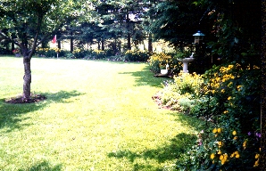 you can just see the swans on the right hand side of the picture.&nbsp; There are three which hold different coloured pansies.