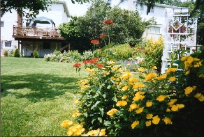 view from the back of the garden looking up towards the deck.&nbsp; Look at that evening primrose!