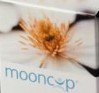 mooncup