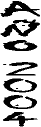 AÑO 2004