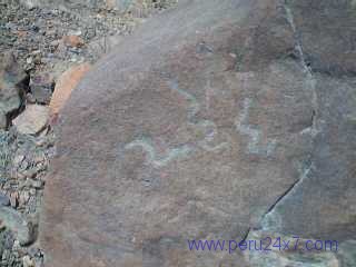 CANTACHECTA05