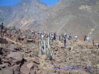 CANTACHECTA18