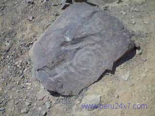 CANTACHECTA27
