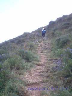 cantamarca08 