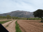 Camino acceso (tama�o ampliada 222 kb aprox.)