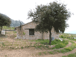 Camino rodea la casa (tama�o ampliada 222 kb aprox.)