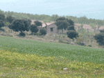Oeste (tama�o ampliada 222 kb aprox.)
