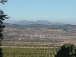 El Contador