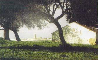 Vista de El Coronil desde la Dehesa de Pilares