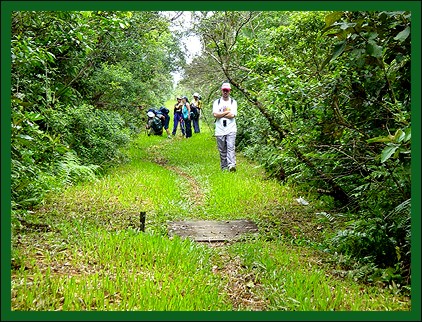 N�s alunos, com a Prof� Berenice e L�cia da Harpyia caminhando pela trilha