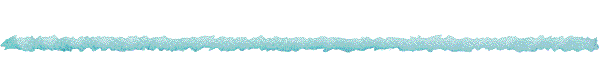 Curriculum