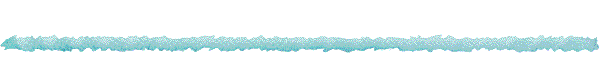 Novedades
