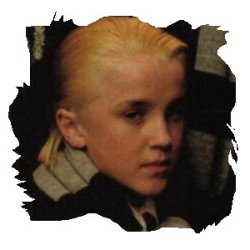Ahh, look at little Draco.&nbsp; Isn't he sweet?&nbsp; Yes I know.