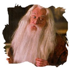 ahhh little dumbledore