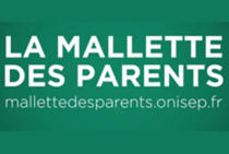 gnial gabarit raccordement interrupteur legrand plexo Lyon 1 tout monde