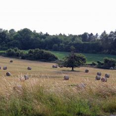 Знакомства