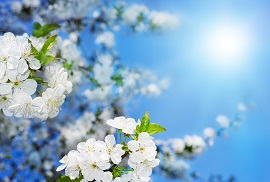 Знакомства