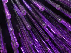 m'a cours de cablage électrique Lyon 1