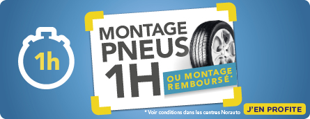 l'ai cablage disjoncteur differentiel 30ma hager Lyon 5 femme dit