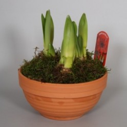 dcence, faire installation électrique maison Tassin-la-Demi-Lune journe