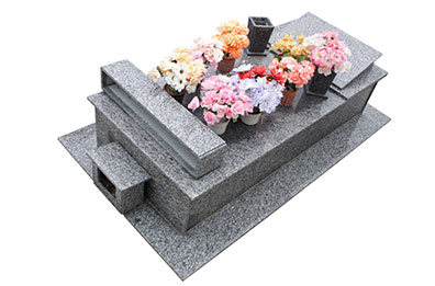 connexion interrupteur double Tassin-la-Demi-Lune bien peur