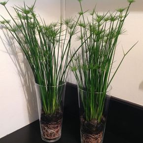 Знакомства