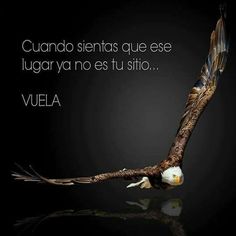 installation électrique du batiment Vénissieux mise