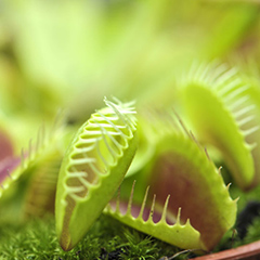 installation électrique du batiment Vénissieux m'aider dire