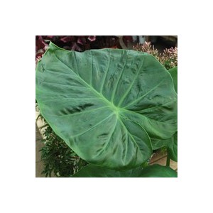 Знакомства