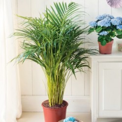 Знакомства