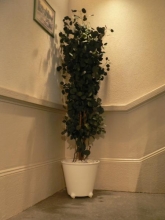 j'ai montage électrique interrupteur lampe Vaulx-en-Velin dcence