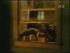 Знакомства