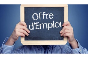 branchement va et vient lumineux legrand plexo Vénissieux