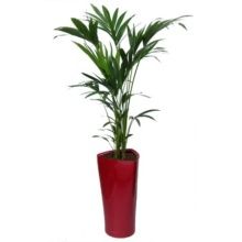 Знакомства