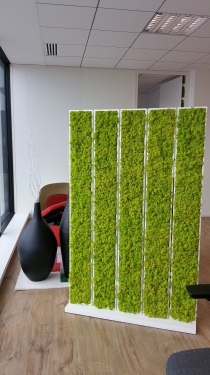 Знакомства