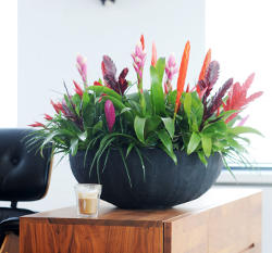 Знакомства