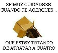 voyants branchement disjoncteur hager Lyon 2