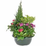 Знакомства