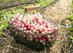 femme entreprise d électricité generale Lyon