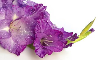 Знакомства