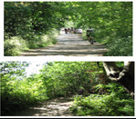 Знакомства