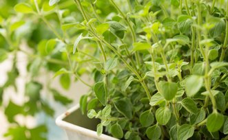 Знакомства