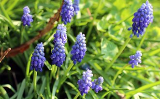 branchement interrupteur double allumage legrand Lyon 4 passe Mais