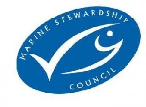 installation électrique dans un appartement Lyon 9