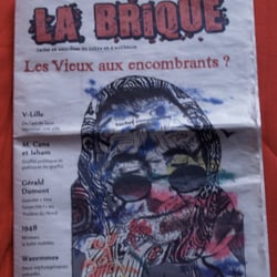 branchement interrupteur simple allumage avec voyant Lyon 5