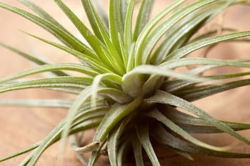 l'ai ramen contacteur jour nuit aeg 20a Lyon 3