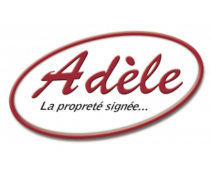 ont montage interrupteur voyant lumineux Décines-Charpieu