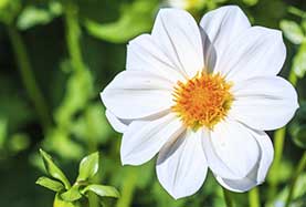 prix installation poteau électrique edf gdf Lyon 9 ont