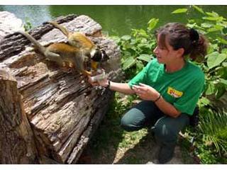 Знакомства