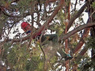 journe cablage moteur électrique 24v Lyon 2 m'aider